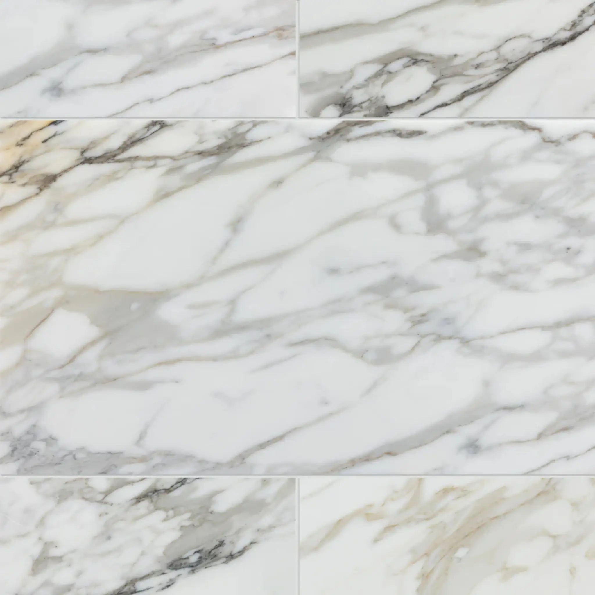 Calacatta Bergoni Polished Italian Marble Tile
