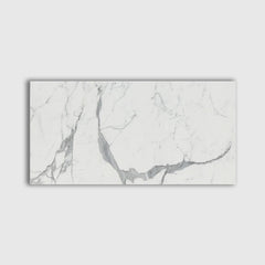 OPTIMIZE_BACKUP_PRODUCT_Statuario Marble Slabs