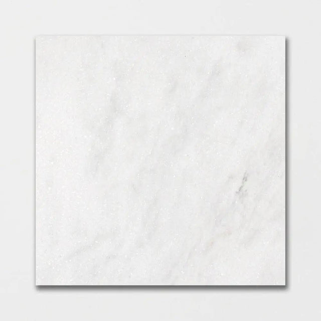 Marble Tiles - Bianco Carrara T Honed Marble Tiles - intmarble