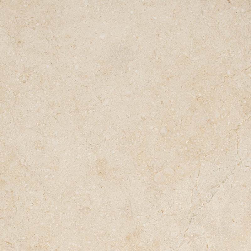 Cappuccino Marble Collection: Warm Elegance for Every Space - IntMarble ...