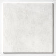 Alpina White Honed Marble Tile 305x305x10mm
