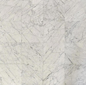 Bianco Gioia Venatino Italian Marble Tile