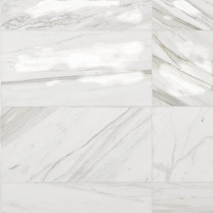 Calacatta Bergoni Honed Italian Marble Tile