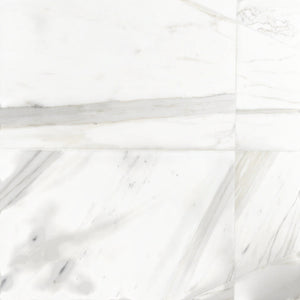 Calacatta Bergoni Honed Italian Marble Tile