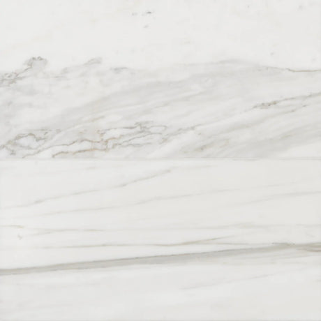 Calacatta Bergoni Honed Italian Marble Tile
