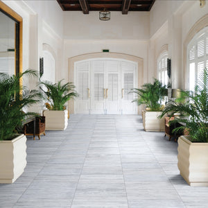 Luxurious interior hallway with white walls, large windows, and potted plants.