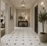 Fitz White Honed Octagon Marble Gray Dot 305x305x10mm