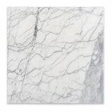 Statuario Italian Marble Tiles 305x305x10mm