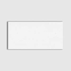 Bianco Thassos Polished Marble 