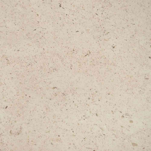 Marble Tiles - Moleanos Honed Limestone Tile 305x305x10mm - intmarble