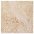 Marble Tiles - Cappuccino Honed Marble Tiles 457x457mm - intmarble