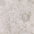 Marble Tiles - Silver Marble Tiles Floor Wall Natural Marble 800x800x20mm - intmarble