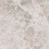 Marble Tiles - Silver Marble Tiles Floor Wall Natural Marble 800x800x20mm - intmarble