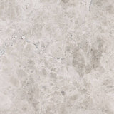 Marble Tiles - Royal Silver Honed Marble Tiles 600x600x20mm - intmarble