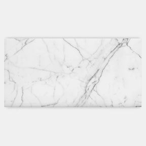 Statiario Venato XL White Honed Italian Natural Marble