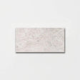 Subway Silver Cloud Honed Marble